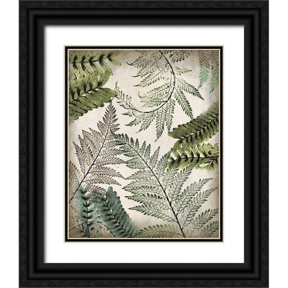 Kimberly, Allen 12x14 Black Ornate Wood Framed with Double Matting Museum Art Print Titled - Tropic Palms 2