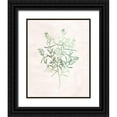 thumbnail image 1 of Kimberly, Allen 12x14 Black Ornate Wood Framed with Double Matting Museum Art Print Titled - Watercolor Herb 2, 1 of 4
