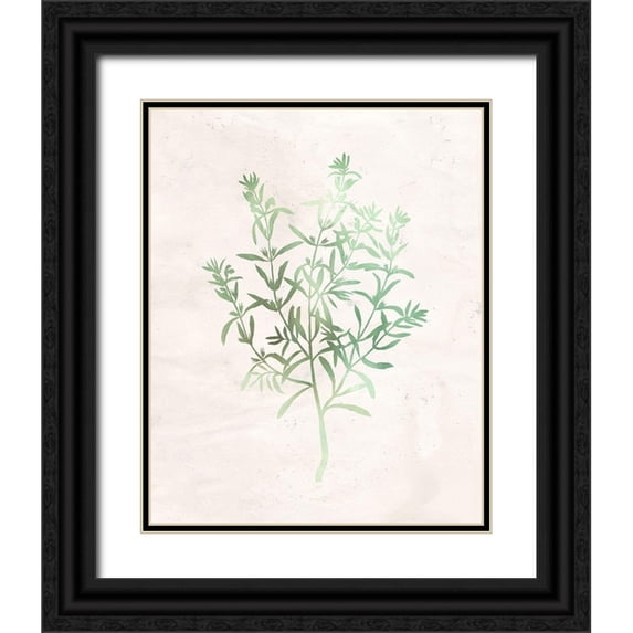 Kimberly, Allen 12x14 Black Ornate Wood Framed with Double Matting Museum Art Print Titled - Watercolor Herb 2