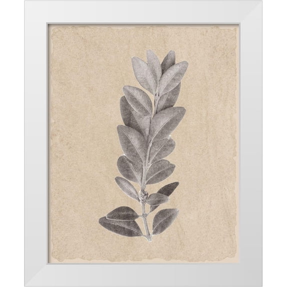 Kimberly, Allen 12x14 White Modern Wood Framed Museum Art Print Titled - Blue Leaf Print 2