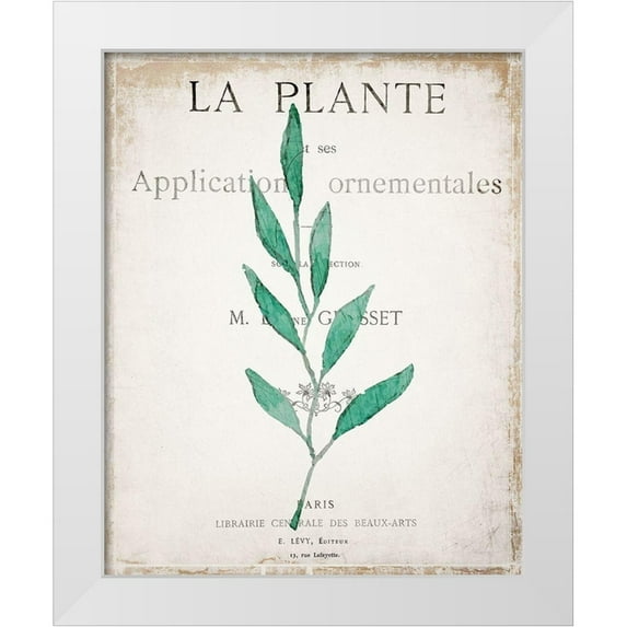Kimberly, Allen 12x14 White Modern Wood Framed Museum Art Print Titled - Botanical Pages 1