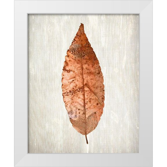 Kimberly, Allen 12x14 White Modern Wood Framed Museum Art Print Titled - Copper Leaves 1