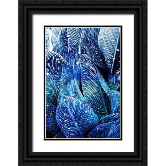 Kimberly, Allen 13x18 Black Ornate Wood Framed with Double Matting Museum Art Print Titled - Midnight Palm Leaves 1