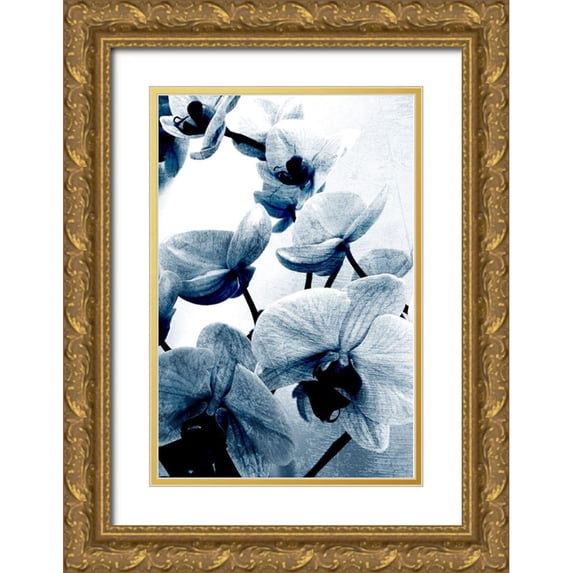 Kimberly, Allen 13x18 Gold Ornate Wood Framed with Double Matting Museum Art Print Titled - Climbing Orchids