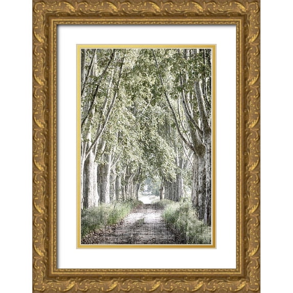 Kimberly, Allen 13x18 Gold Ornate Wood Framed with Double Matting Museum Art Print Titled - Covered Path