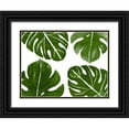 thumbnail image 1 of Kimberly, Allen 14x12 Black Ornate Wood Framed with Double Matting Museum Art Print Titled - Tropic Green 2, 1 of 4