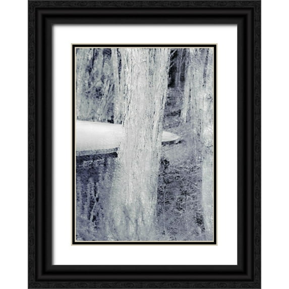Kimberly, Allen 14x18 Black Ornate Wood Framed with Double Matting Museum Art Print Titled - Through the Trees B