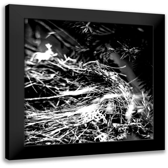 Kimberly, Allen 15x15 Black Modern Framed Museum Art Print Titled - White Nest 2