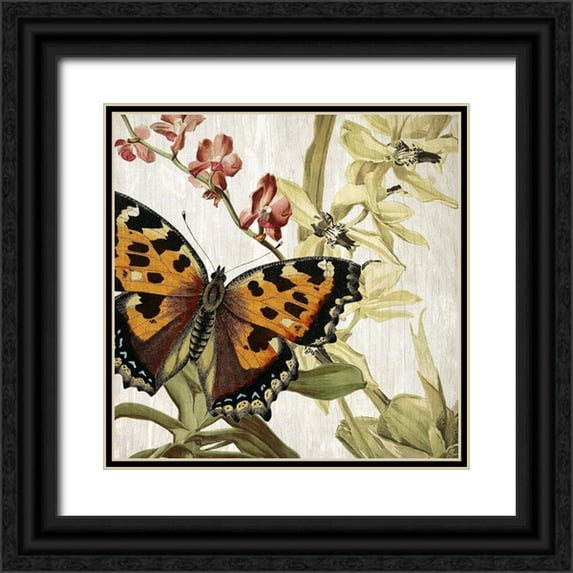 Kimberly, Allen 15x15 Black Ornate Wood Framed with Double Matting Museum Art Print Titled - Butterfly World 2