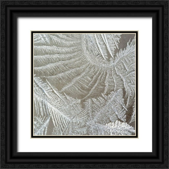 Kimberly, Allen 15x15 Black Ornate Wood Framed with Double Matting Museum Art Print Titled - Frosted Fern 2