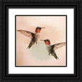 thumbnail image 1 of Kimberly, Allen 15x15 Black Ornate Wood Framed with Double Matting Museum Art Print Titled - Hummingbird Flight, 1 of 4