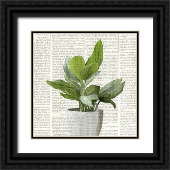 Kimberly, Allen 15x15 Black Ornate Wood Framed with Double Matting Museum Art Print Titled - Potted Print 1