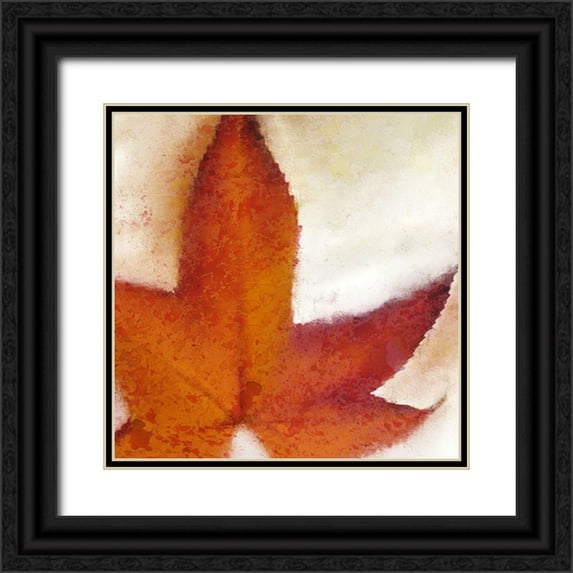 Kimberly, Allen 15x15 Black Ornate Wood Framed with Double Matting Museum Art Print Titled - Splatter Leaves 1