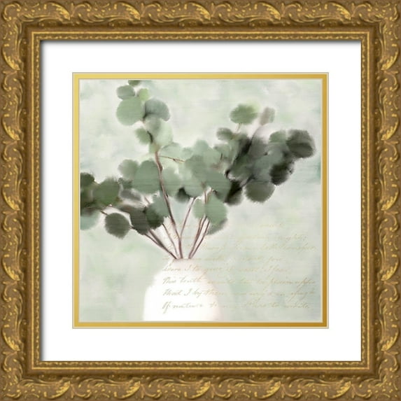 Kimberly, Allen 15x15 Gold Ornate Wood Framed with Double Matting Museum Art Print Titled - Eucalyptus 1