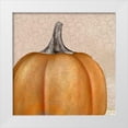 thumbnail image 1 of Kimberly, Allen 15x15 White Modern Wood Framed Museum Art Print Titled - Copper Pumpkin, 1 of 4