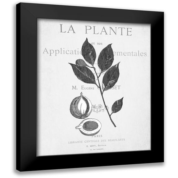 Kimberly, Allen 15x18 Black Modern Framed Museum Art Print Titled - Defused Botanical 3
