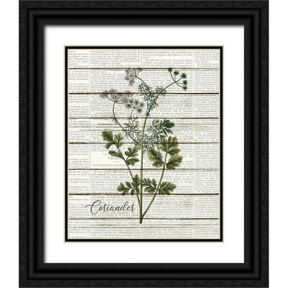 Kimberly, Allen 15x18 Black Ornate Wood Framed with Double Matting Museum Art Print Titled - Coriander