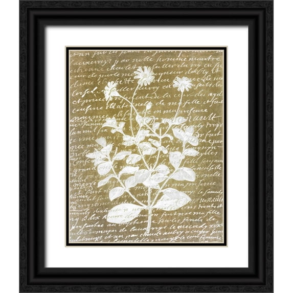Kimberly, Allen 15x18 Black Ornate Wood Framed with Double Matting Museum Art Print Titled - Notes on Floral 1
