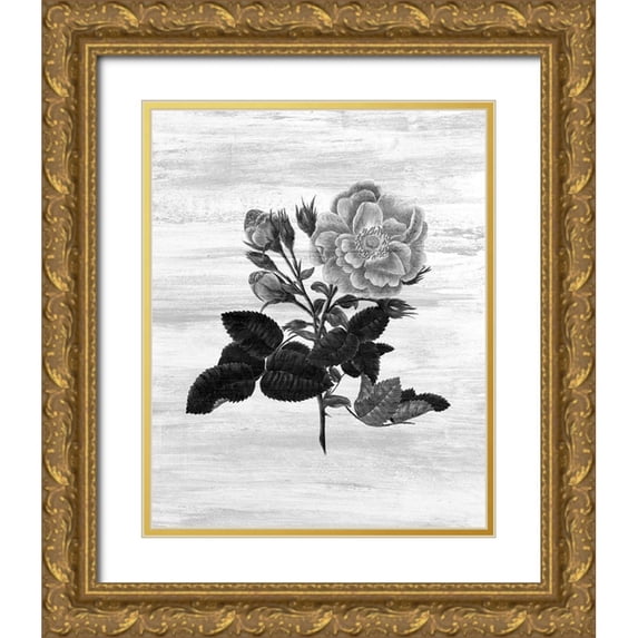 Kimberly, Allen 15x18 Gold Ornate Wood Framed with Double Matting Museum Art Print Titled - Botanical Flower 1
