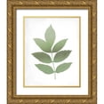 thumbnail image 1 of Kimberly, Allen 15x18 Gold Ornate Wood Framed with Double Matting Museum Art Print Titled - Leaves Print 1, 1 of 4