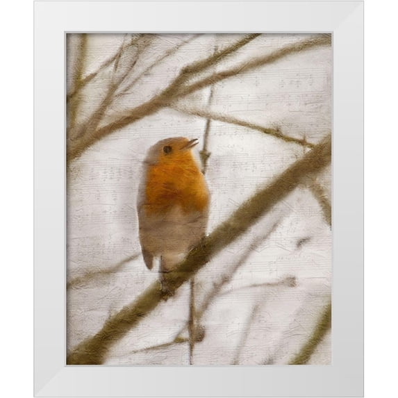 Kimberly, Allen 15x18 White Modern Wood Framed Museum Art Print Titled - Bird on a Branch 1