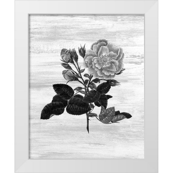 Kimberly, Allen 15x18 White Modern Wood Framed Museum Art Print Titled - Botanical Flower 1