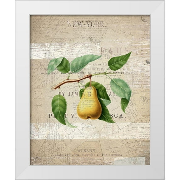 Kimberly, Allen 15x18 White Modern Wood Framed Museum Art Print Titled - Fruit 2