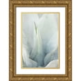 thumbnail image 1 of Kimberly, Allen 17x24 Gold Ornate Wood Framed with Double Matting Museum Art Print Titled - Agave 1, 1 of 4