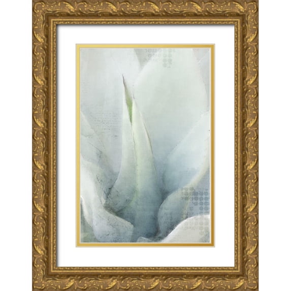 Kimberly, Allen 17x24 Gold Ornate Wood Framed with Double Matting Museum Art Print Titled - Agave 1