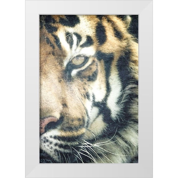 Kimberly, Allen 17x24 White Modern Wood Framed Museum Art Print Titled - Focus B