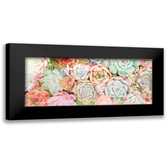 Kimberly, Allen 18x10 Black Modern Framed Museum Art Print Titled - Colorful Succulents 2