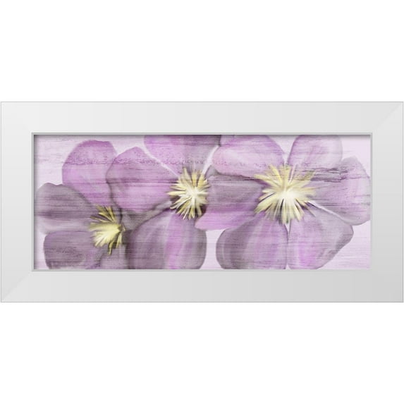 Kimberly, Allen 18x10 White Modern Wood Framed Museum Art Print Titled - Violet Clematis