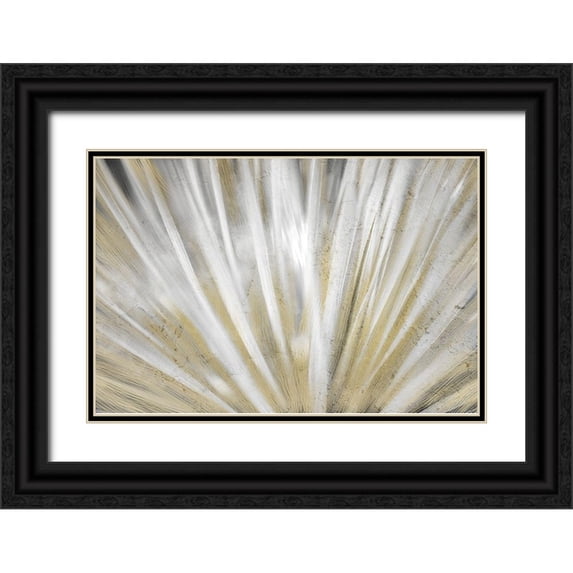 Kimberly, Allen 18x13 Black Ornate Wood Framed with Double Matting Museum Art Print Titled - Burst of Day