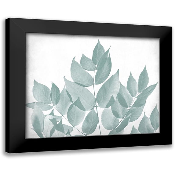 Kimberly, Allen 18x15 Black Modern Framed Museum Art Print Titled - Antiqued Leaves 1