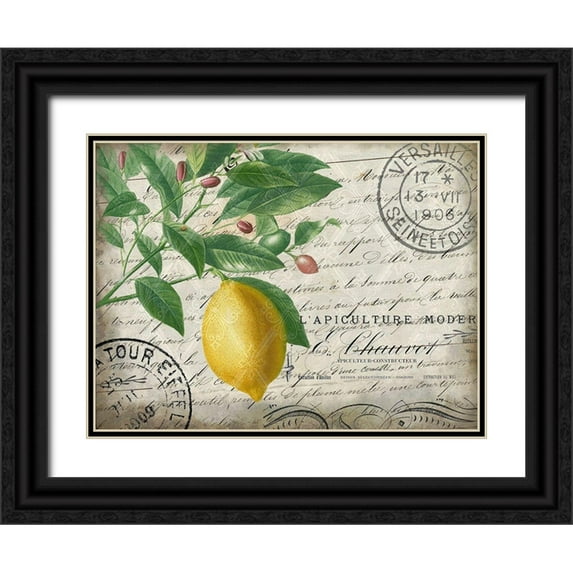 Kimberly, Allen 18x15 Black Ornate Wood Framed with Double Matting Museum Art Print Titled - Vintage Lemon