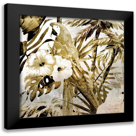 Kimberly, Allen 20x20 Black Modern Framed Museum Art Print Titled - Birds of Paradise 2