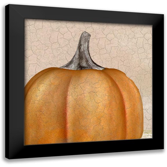 Kimberly, Allen 20x20 Black Modern Framed Museum Art Print Titled - Copper Pumpkin