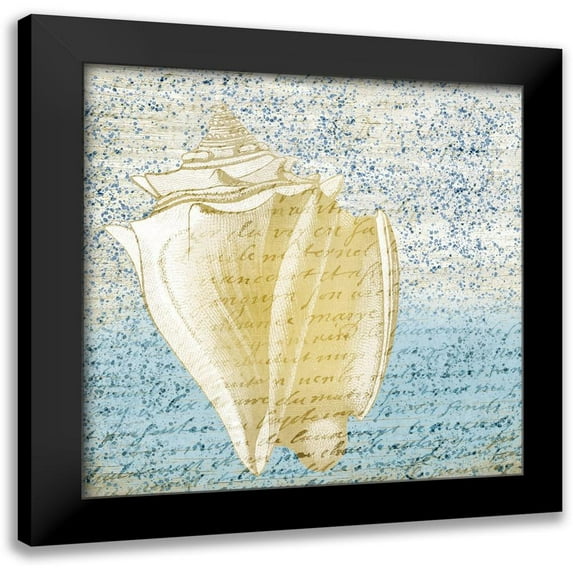 Kimberly, Allen 20x20 Black Modern Framed Museum Art Print Titled - Spotted Shell 3