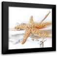 thumbnail image 1 of Kimberly, Allen 20x20 Black Modern Framed Museum Art Print Titled - Starfish Beach 5 v2, 1 of 5