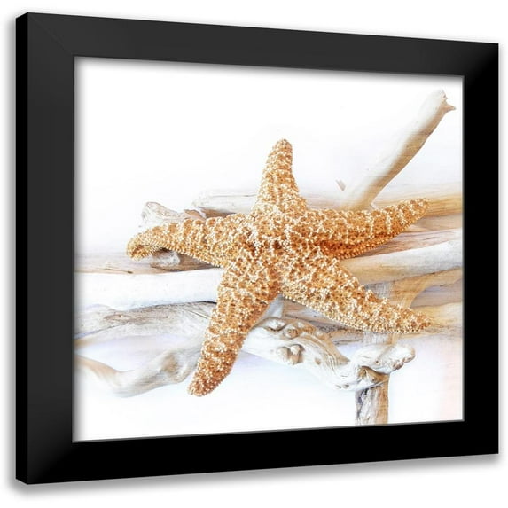 Kimberly, Allen 20x20 Black Modern Framed Museum Art Print Titled - Starfish Beach 5 v2