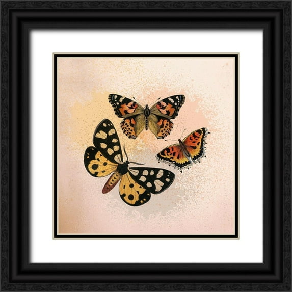 Kimberly, Allen 20x20 Black Ornate Wood Framed with Double Matting Museum Art Print Titled - Butterfly Flight
