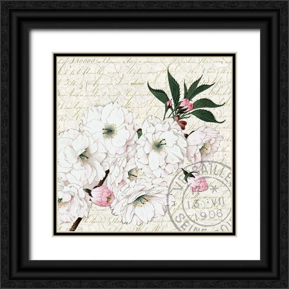 Kimberly, Allen 20x20 Black Ornate Wood Framed with Double Matting Museum Art Print Titled - Cherry Blossom 3