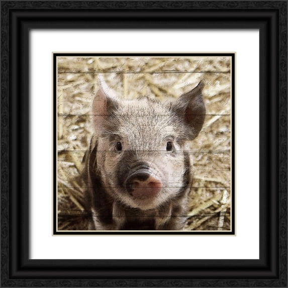 Kimberly, Allen 20x20 Black Ornate Wood Framed with Double Matting Museum Art Print Titled - Farm Life 2