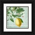 thumbnail image 1 of Kimberly, Allen 20x20 Black Ornate Wood Framed with Double Matting Museum Art Print Titled - Lemon Drop 1, 1 of 4