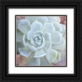 thumbnail image 1 of Kimberly, Allen 20x20 Black Ornate Wood Framed with Double Matting Museum Art Print Titled - Painted Succulent 2, 1 of 4