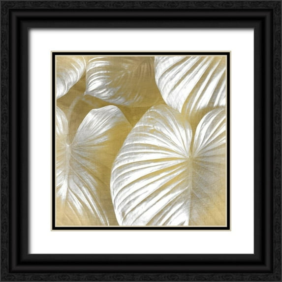 Kimberly, Allen 20x20 Black Ornate Wood Framed with Double Matting Museum Art Print Titled - Tropic Gold 2