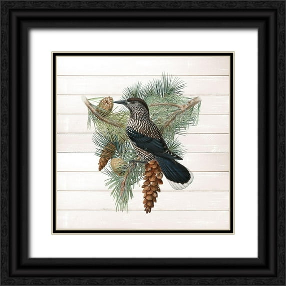 Kimberly, Allen 20x20 Black Ornate Wood Framed with Double Matting Museum Art Print Titled - Winter Bird 3