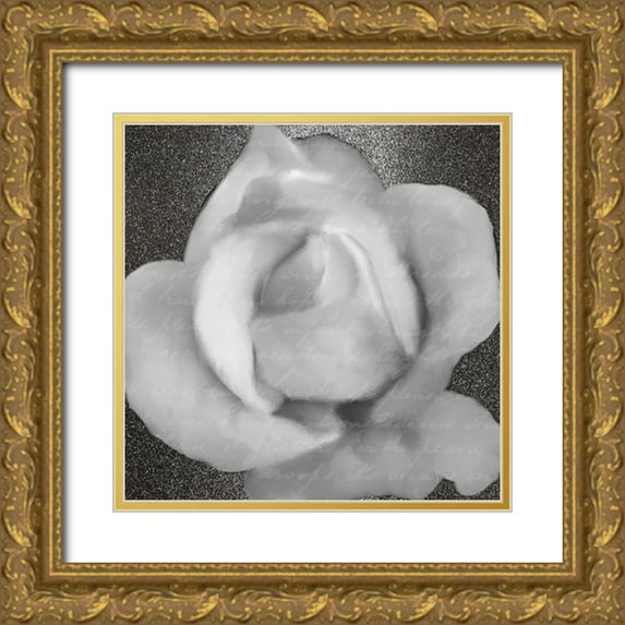 Kimberly, Allen 20x20 Gold Ornate Wood Framed with Double Matting Museum Art Print Titled - Grey Rose 1
