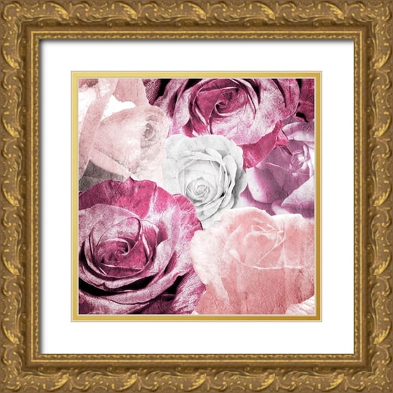 Kimberly, Allen 20x20 Gold Ornate Wood Framed with Double Matting Museum Art Print Titled - Rose Blooms 1