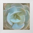 thumbnail image 1 of Kimberly, Allen 20x20 White Modern Wood Framed Museum Art Print Titled - Newspaper Succulent 2, 1 of 4